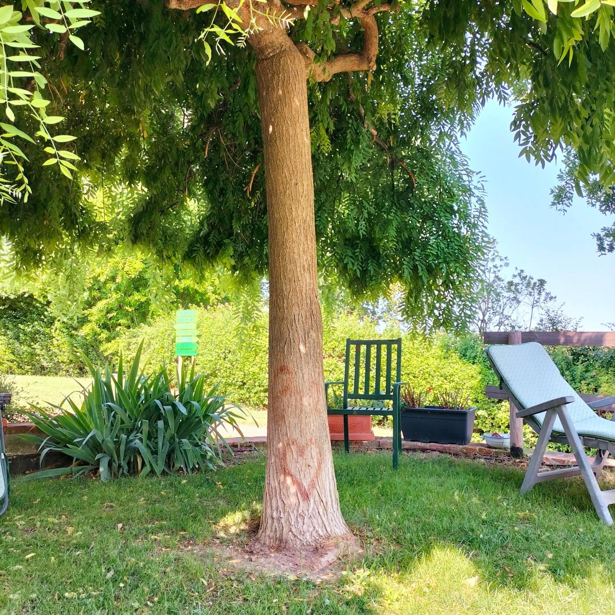 Ca' Dei Gelsi B & B Coriano Luaran gambar