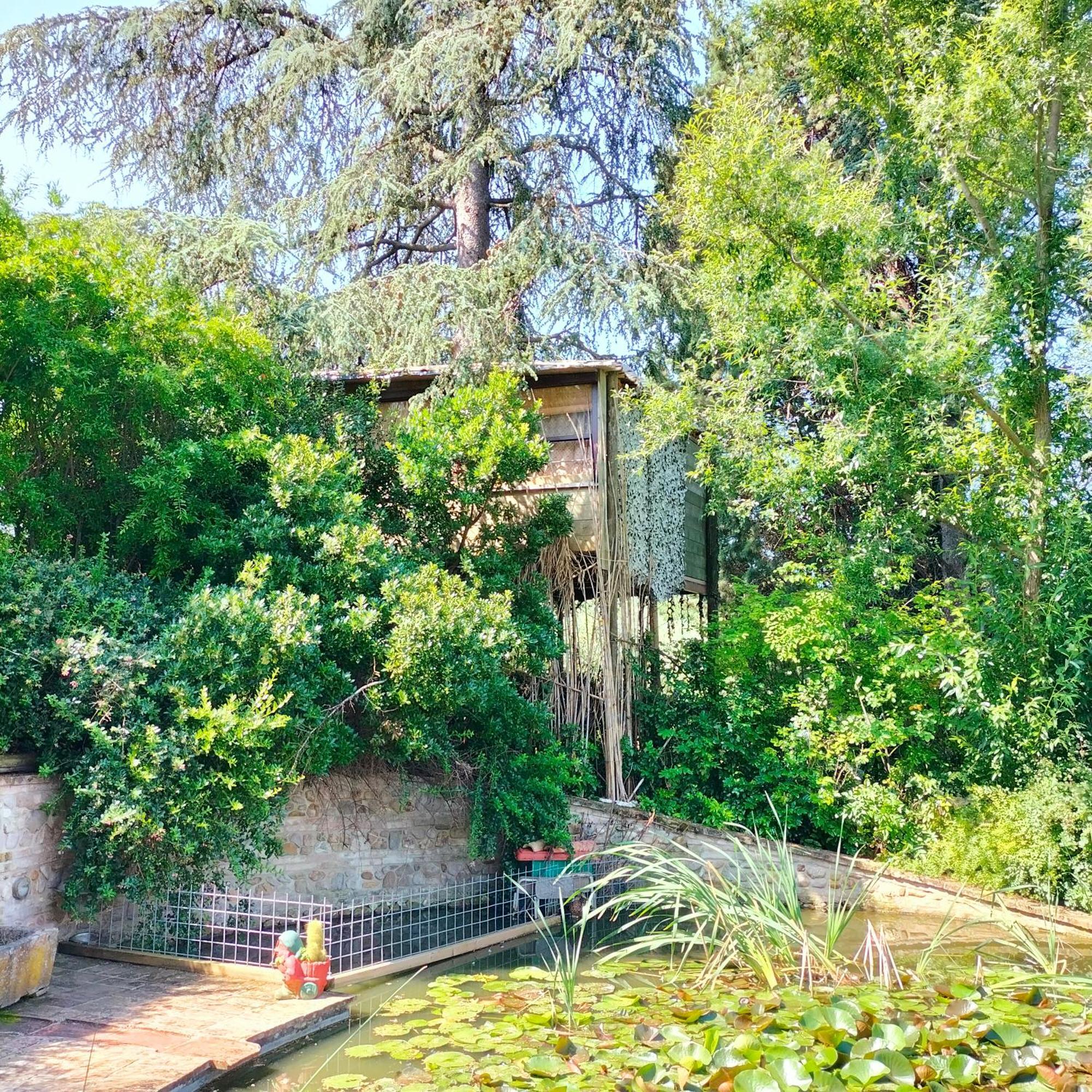 Ca' Dei Gelsi B & B Coriano Luaran gambar